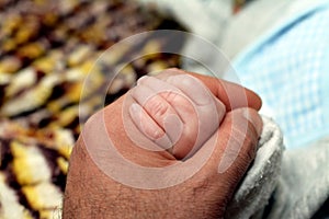 hand of a newborn baby in dadâ€™s hand on a blurred background, Close up father's hand holding his new born baby