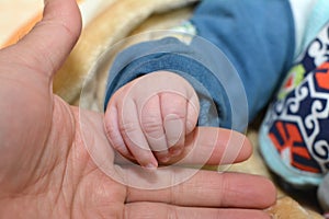 The hand of a newborn baby in dadâ€™s hand on a blurred background, Close up new born baby holding his father's hand