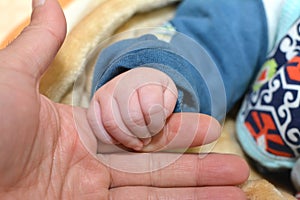 The hand of a newborn baby in dadâ€™s hand on a blurred background, Close up new born baby holding his father's hand