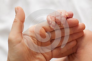 The hand of a newborn baby in the hands of mom