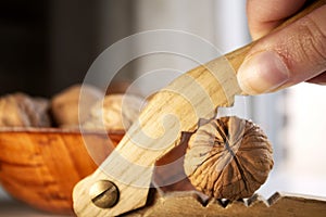 hand on nutcracker about to crack a nut