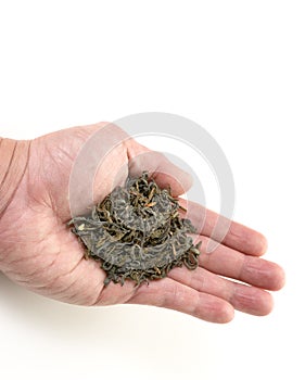 Hand offering dry green tea leaves