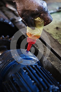 Hand oiling gear and during maintenance work of electric motor