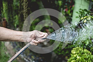 Hand of an old lady holding a rubber hose and blocking the tip to get a spray of water. Outdoor or garden setting