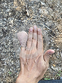 Hand of old woman with ball of thread