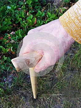 Hand of a old woman with walking stick