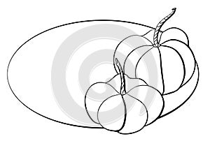 outline simple line sketch design elements autumn theme vegetables pumpkin holidays halloween and thanksgiving with blank space