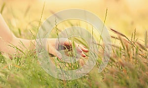 Hand over autumn grass.