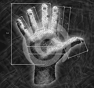 Hand with overall dimensions photo