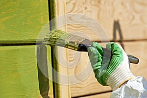 Mano colore spazzola il dipinto di legno parete 