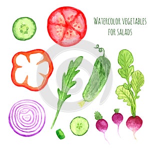 Hand paint watercolor vector vegetables set eat local farm market rustic illustrations with a arugula, onion, pepper, cucumber, to