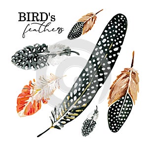 Hand-painted black and white spotted feathers and red adn white feathers set