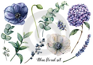 Hand painted blue floral elements. Watercolor botanical illustration with anemone, hydrangea flowers, lavender, juniper