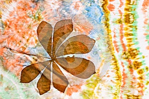 Hand painted brown chestnut leaf on silk batik photo