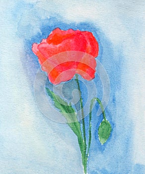 Hand painted element. Watercolor flower. Botanical detail for cards, poster, scrabooking, web, invitations.