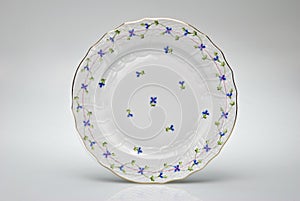 Hand-painted empty dinner plate