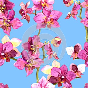 Hand painted floral background with blooming orchids