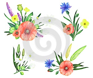 Hand painted watercolor set of bouquets made with summer meadow flowers on a white background.