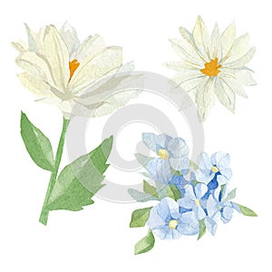 Hand painted floral set. Watercolor botanical illustration with hydrangea, wildflowers flowers isolated on white background.