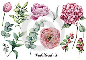 Hand painted floral elements. Watercolor botanical illustration with ranunculus, tulip, peony, hydrangea flowers