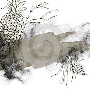 Hand painted frame with pineapples, leaves and watercolor splashes. Abstract tropical illustration in beige shades photo