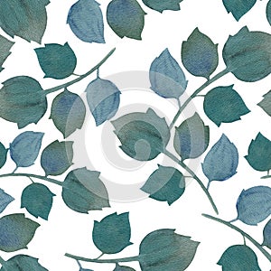 Hand painted green leaves. Botanical drawing of leaves. Watercolor leaves on isolated background, seamless pattern.