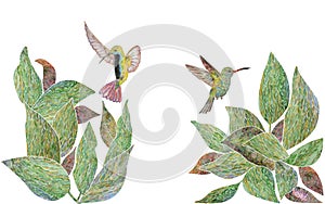 Hand painted hummingbirds flying between leaves