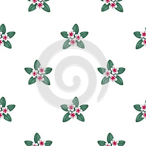 Hand painted illustration of plumeria flowers. Seamless pattern