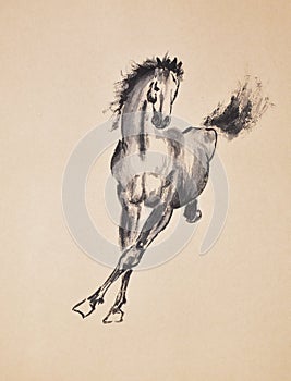 Hand painted ink brush painting of horse in oriental style