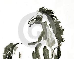 Hand painted ink brush painting of horse in oriental style