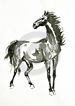 Hand painted ink brush painting of horse in oriental style