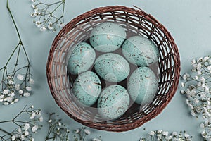 Hand painted pastel colored Easter eggs background. photo