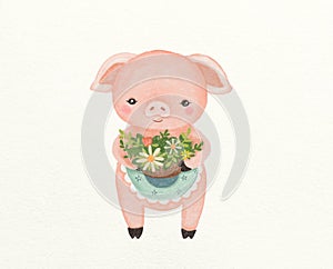 Hand-painted pig illustrations