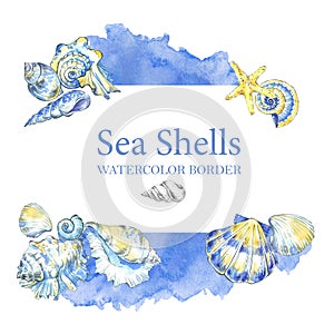Hand painted seashells border. Watercolor decorative summer background.