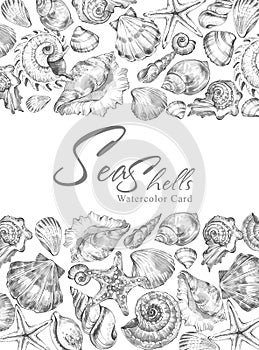 Hand painted seashells horizontal border. Watercolor decorative summer background. Original hand drawn illustration