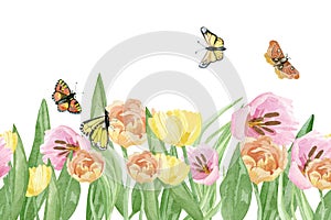 Hand painted tulip floral banner. Watercolor botanical garden meadow flowers with butterfly  isolated on white background.