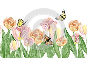 Hand painted tulip floral banner. Watercolor botanical garden meadow flowers with butterfly  isolated on white background.