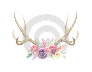 Watercolor Flowers Florals Antlers Deer Stag Horns Bone Painted photo