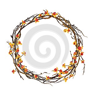 Hand painted watercolor autumn wreath made with tree branches, bittersweet orange berries. Fall illustration
