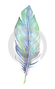 Hand painted watercolor bird feather blue color, close up isolated on white background. Art scrapbook element, sketch, hand drawn