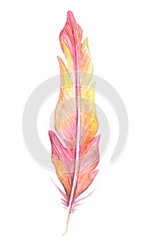 Hand painted watercolor bird feather purple color, close up isolated on white background. Art scrapbook element, sketch, hand