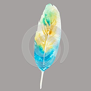 Hand painted watercolor bird feathers closeup isolated on white background colorful set