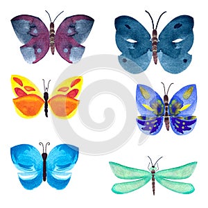 Hand painted watercolor bright buterflies set