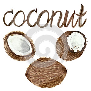 Hand painted watercolor coconuts, ripe sliced half, food art isolated on white background and lettering for beautiful design. Love