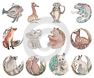 Hand painted Watercolor Cute animals isolated on white background