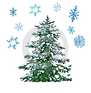 Hand painted watercolor fir spruce tree with snowflakes on white background. Christmas card with snowy forest evergreen tree