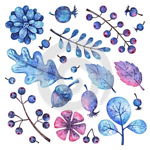 Hand painted watercolor floral elements set