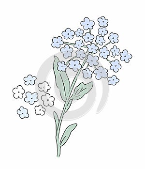 Flower Illustration pattern in simple background. Illustration flower in simple background. photo