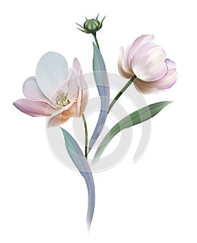 Flower Illustration pattern in simple background. Illustration flower in simple background.