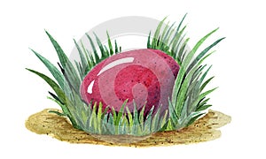 Hand painted watercolor illustration of colorful pink Easter egg laying in fresh green grass tuffet. closeup